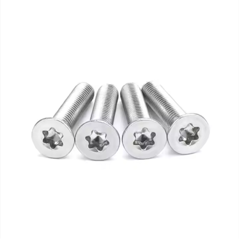 Stainless Steel Socket Countersunk Head Screw